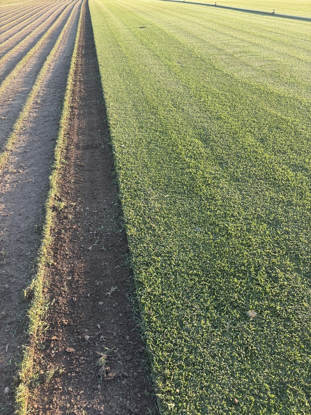 Reliable Turf Solutions | 113 Kurmond Rd, Wilberforce NSW 2756, Australia | Phone: 0419 890 061