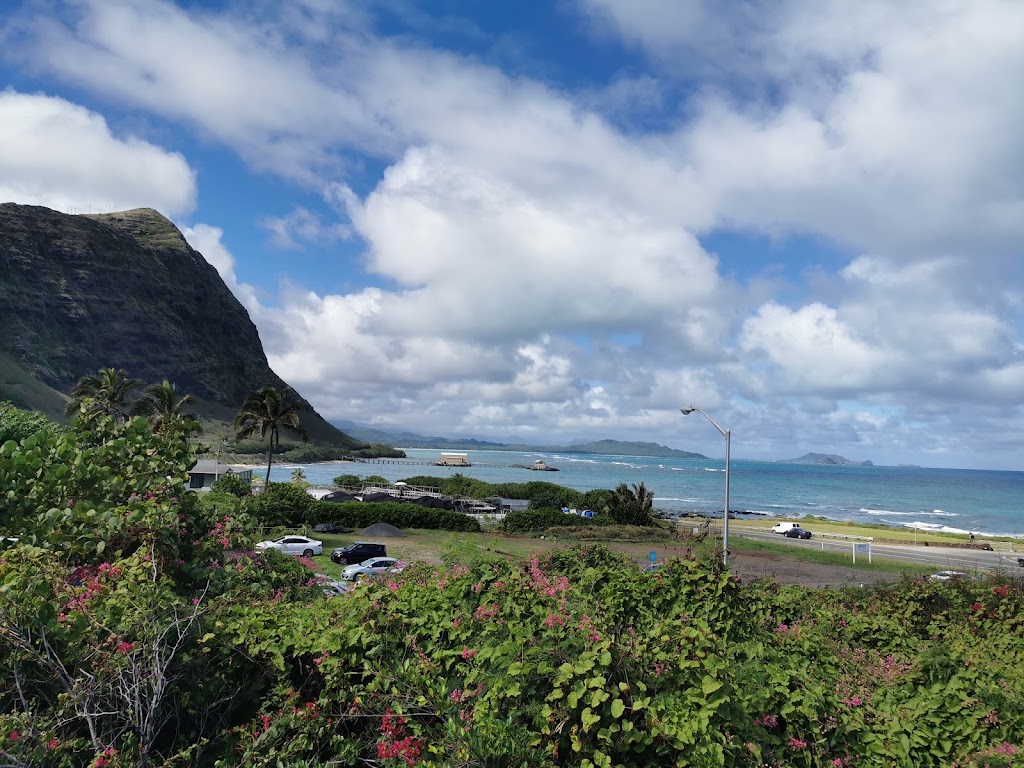 Port Fairy Hawaiian Lomi Lomi and Kahuna Massage | Cooinda Ct, Port Fairy VIC 3284, Australia | Phone: 0431 709 117