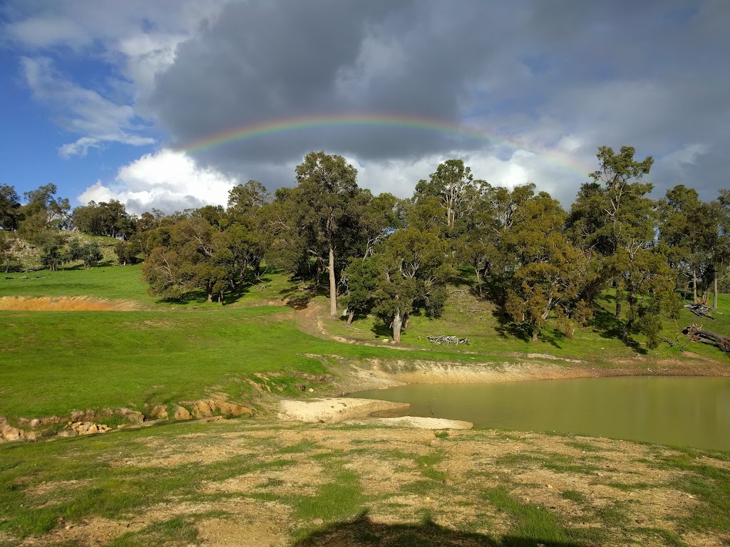 Jacaranda Hill Farm | 192 Morrell Rd, Fairbridge WA 6208, Australia | Phone: 0419 482 687