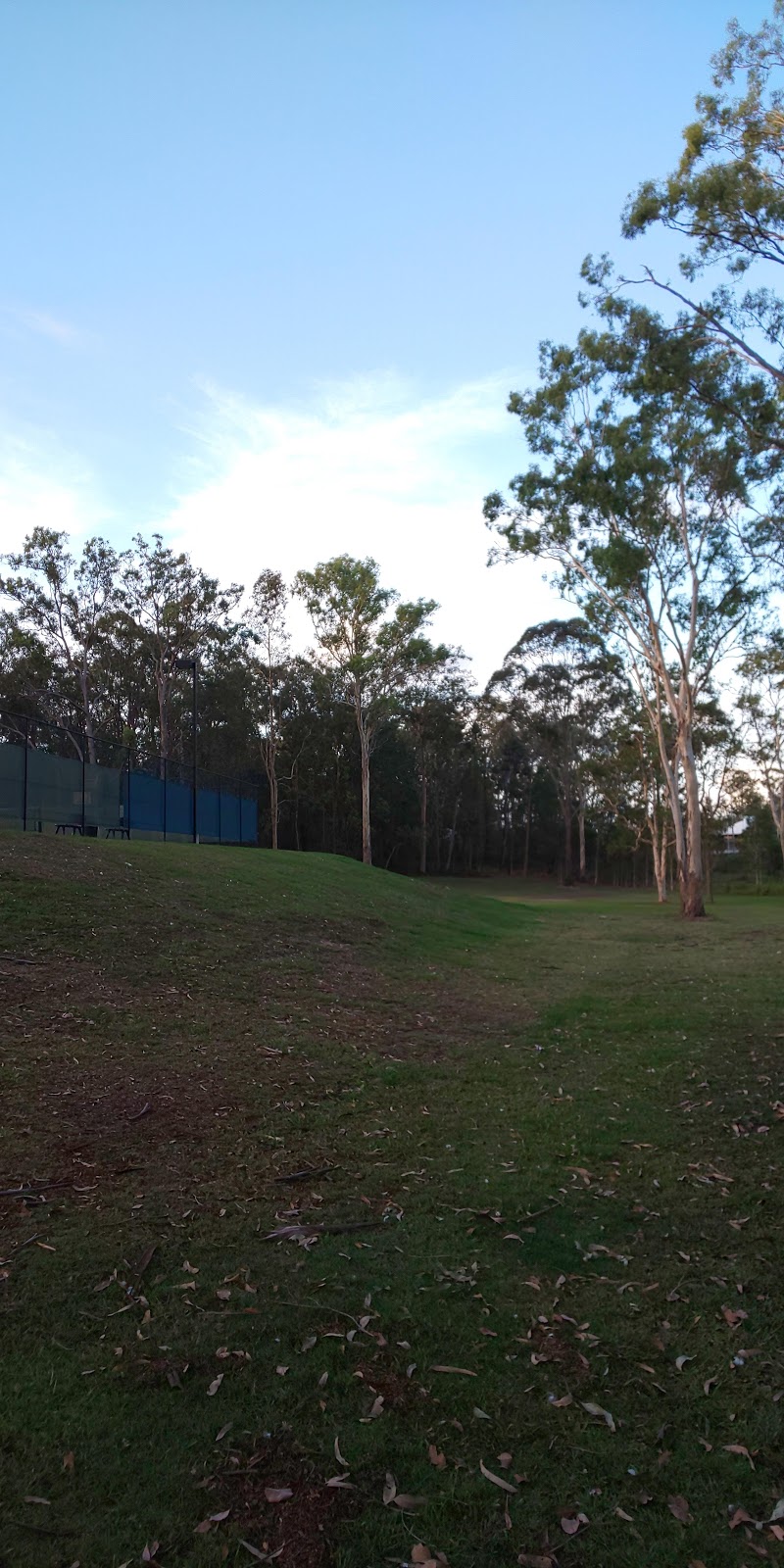 Lions Park (Mudgeeraba) | park | 316 Mudgeeraba Rd, Mudgeeraba QLD 4213, Australia