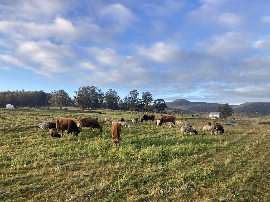 Appinoka Regenerative Farming | 36 Waggs Rd, Mountain River TAS 7109, Australia | Phone: 0457 207 638