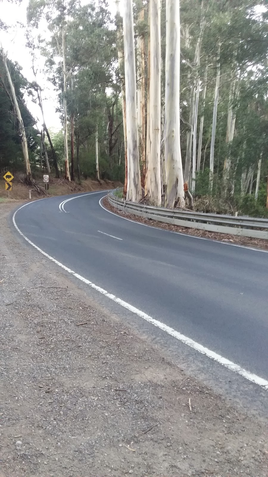 Cockatoo Recreation Reserve | Mountain Rd, Cockatoo VIC 3781, Australia | Phone: 13 19 63