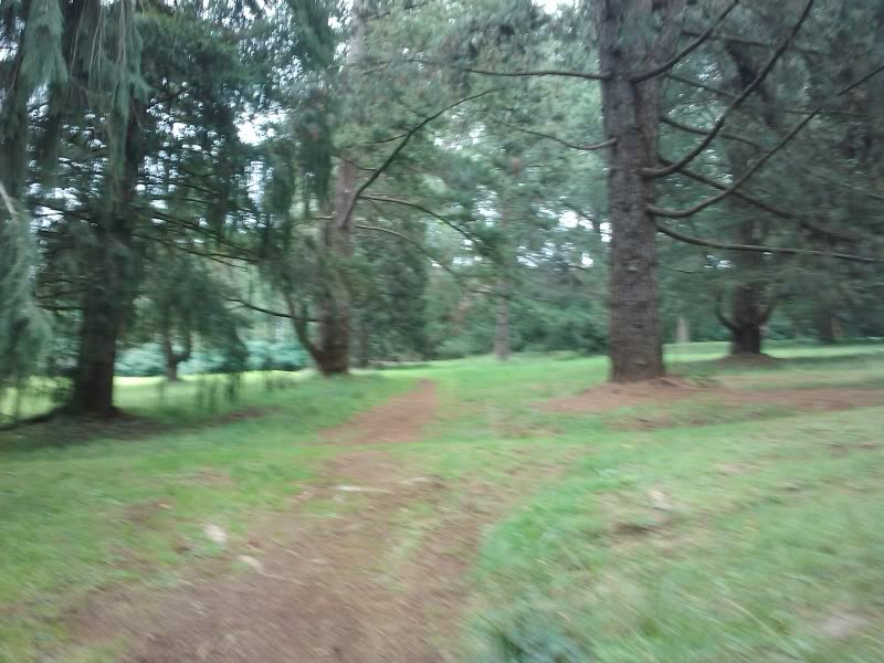 Mt Dandenong Arboretum | park | Mount Dandenong VIC 3767, Australia