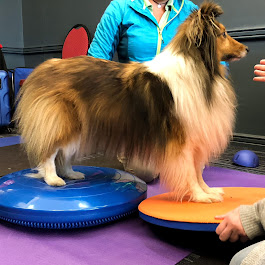 Move Unleashed Port Stephens | Shopping Village, Shop 1/37 Ferodale Rd, Medowie NSW 2318, Australia | Phone: 0400 114 557