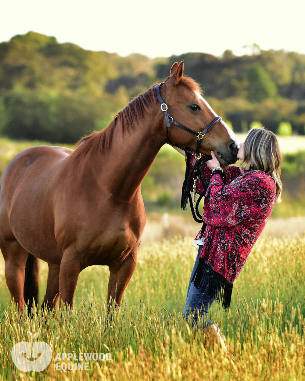 Applewood Equine | 7 Ewing St, Tylden VIC 3444, Australia | Phone: 0402 842 233