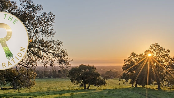 Jacaranda Hill Farm | 192 Morrell Rd, Fairbridge WA 6208, Australia | Phone: 0419 482 687