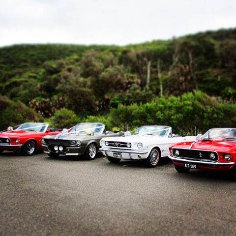 Sydney Mustangs Wedding Cars | car rental | 77 Planthurst Rd, Carlton NSW 2218, Australia | 0417455488 OR +61 417 455 488