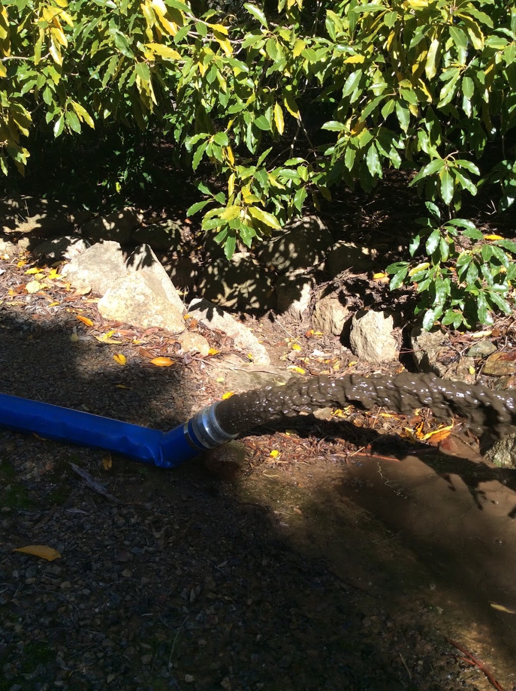 Water Tank Cleaning - Victoria | 681 Basin Rd, Tarnook VIC 3670, Australia | Phone: 0425 234 998