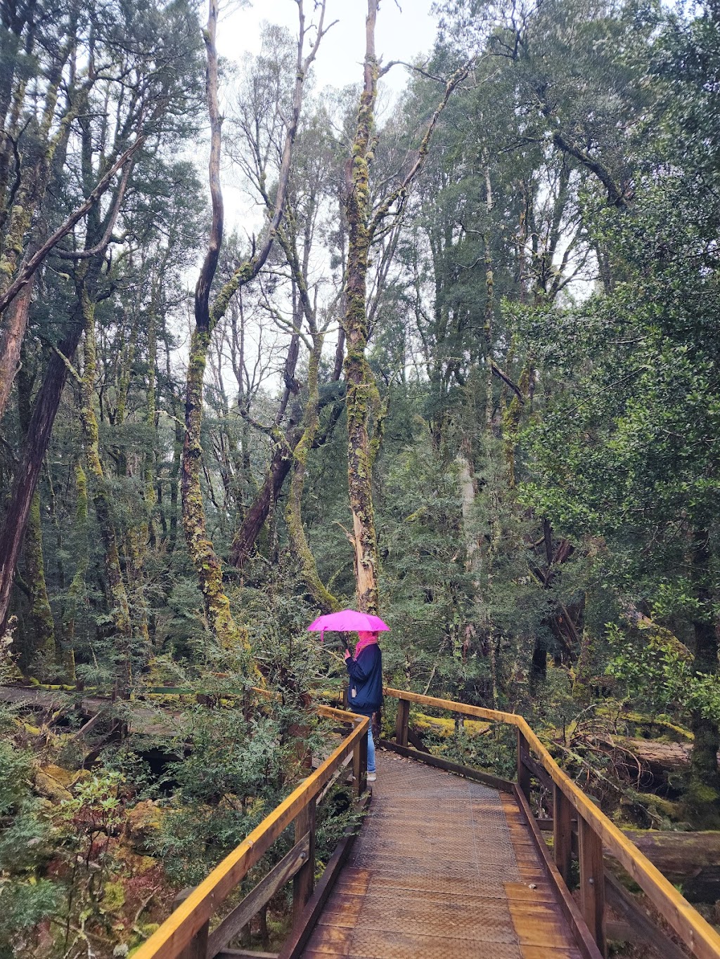 Cradle Mountain Interpretation Centre | tourist attraction | 4057 Cradle Mountain Rd, Cradle Mountain TAS 7306, Australia | 0364921110 OR +61 3 6492 1110