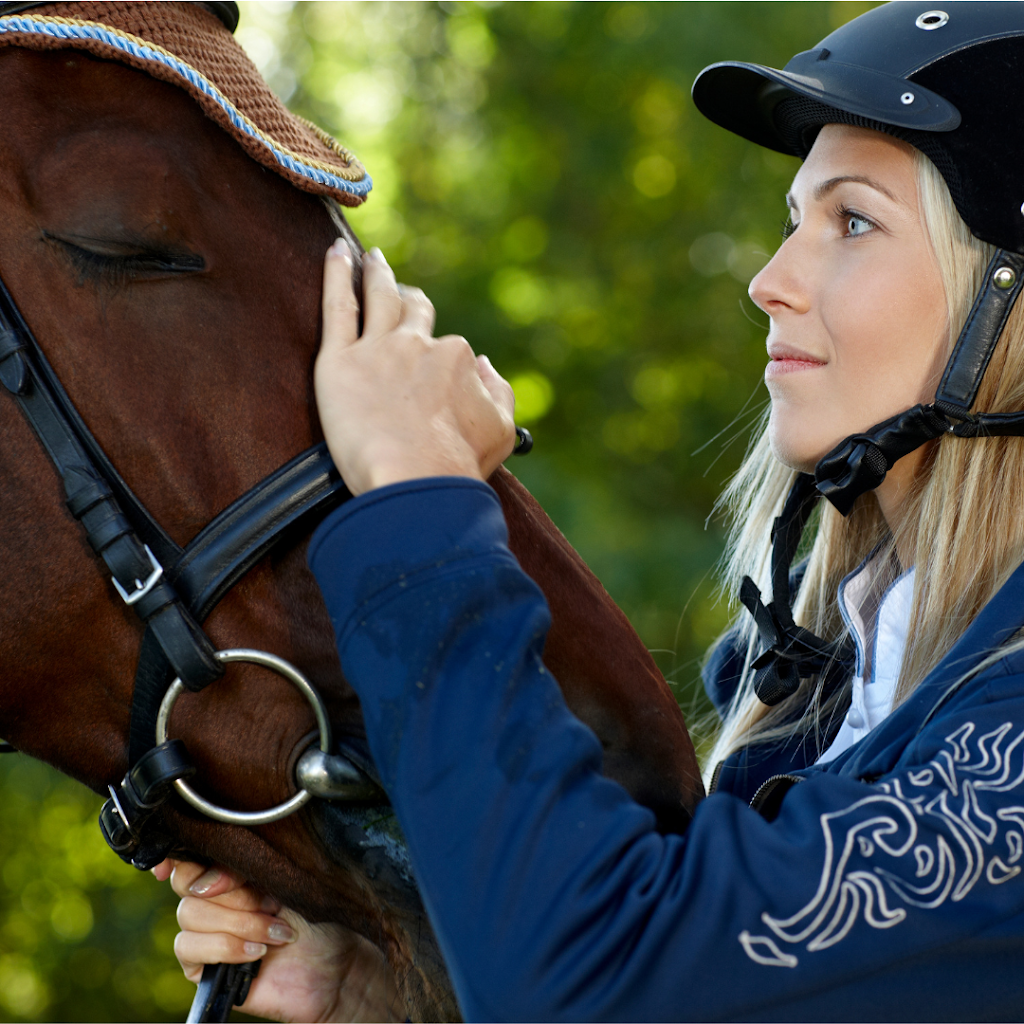 Evolve with Horse Coaching | 251 Old Hume Hwy, Glenrowan VIC 3675, Australia | Phone: 0419 513 788