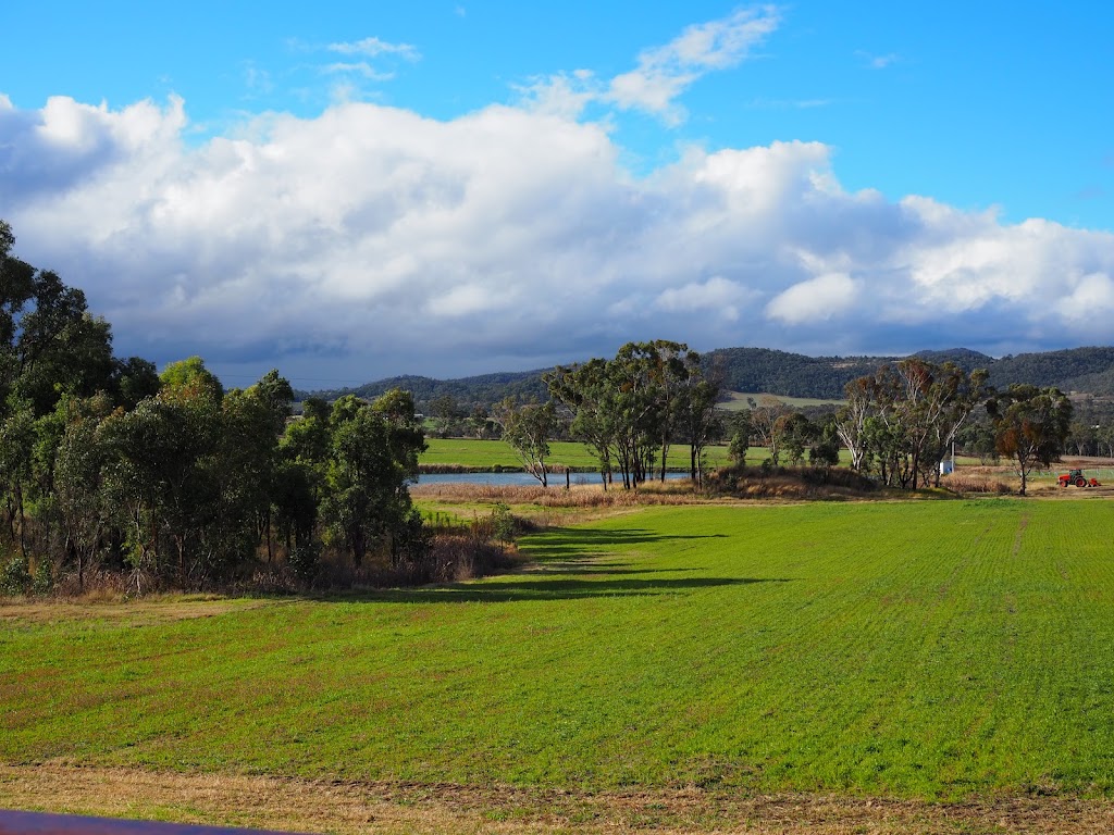 New Tricks Winery | 254 Curtin Rd, Ballandean QLD 4382, Australia | Phone: 0416 189 775 New Tricks Winery | 254 Curtin Rd, Ballandean QLD 4382, Australia | Phone: 0416 189 775