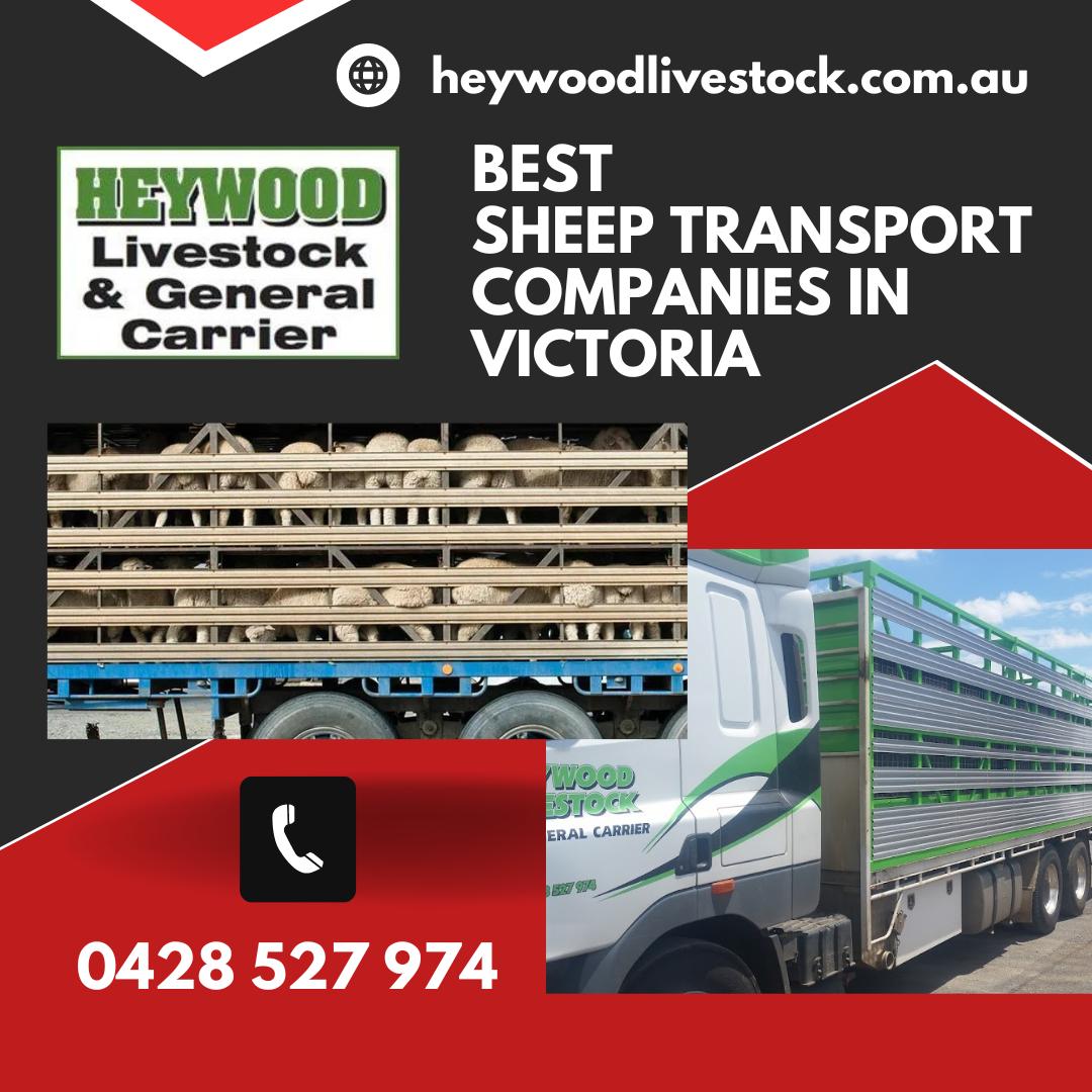 Heywood Livestock & General Carrier | travel agency | 1479 Princes Hwy, Heywood VIC 3304, Australia | 0428527974 OR +61 428 527 974