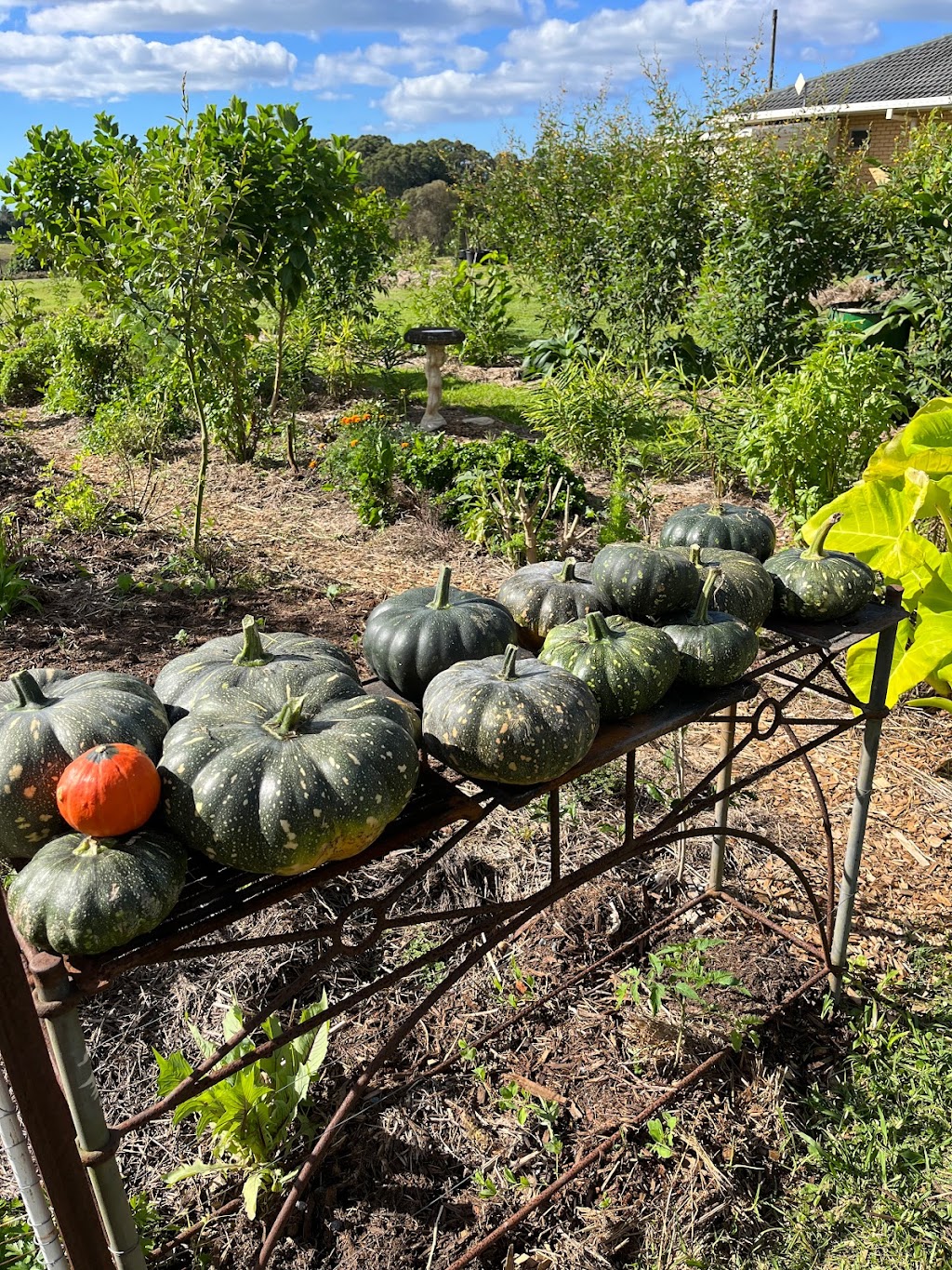 The Big Green Shed | 194 Kennedys Ln, Ewingsdale NSW 2481, Australia | Phone: 0401 781 276