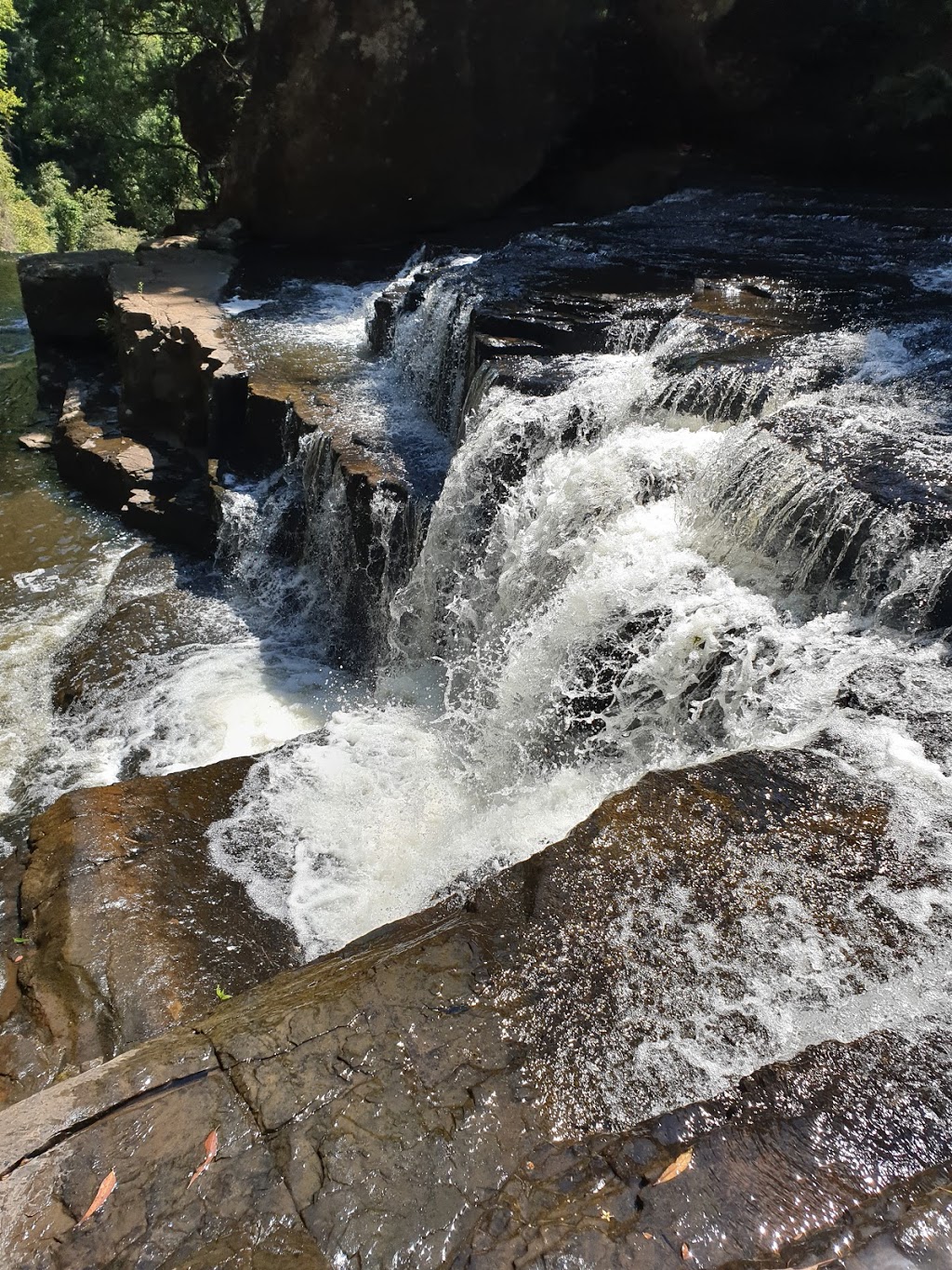 Belmore Falls walking track | Hindmarsh Lookout Track, Barrengarry NSW 2577, Australia | Phone: (02) 4887 7270