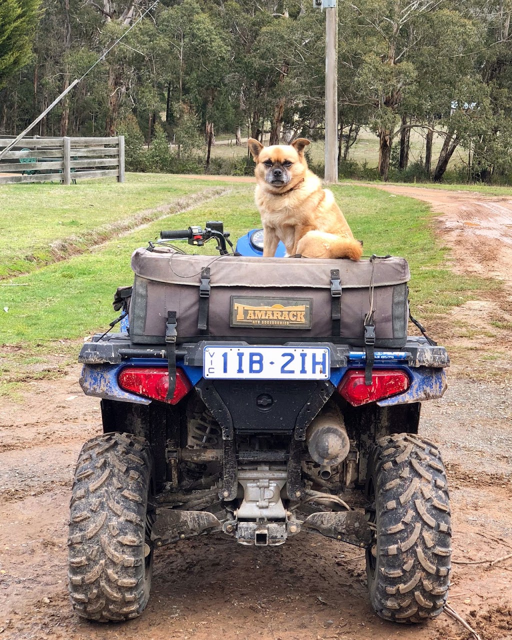 Victorian Quad Bike Tours | Victoria St, Daylesford VIC 3460, Australia | Phone: (03) 5348 6707