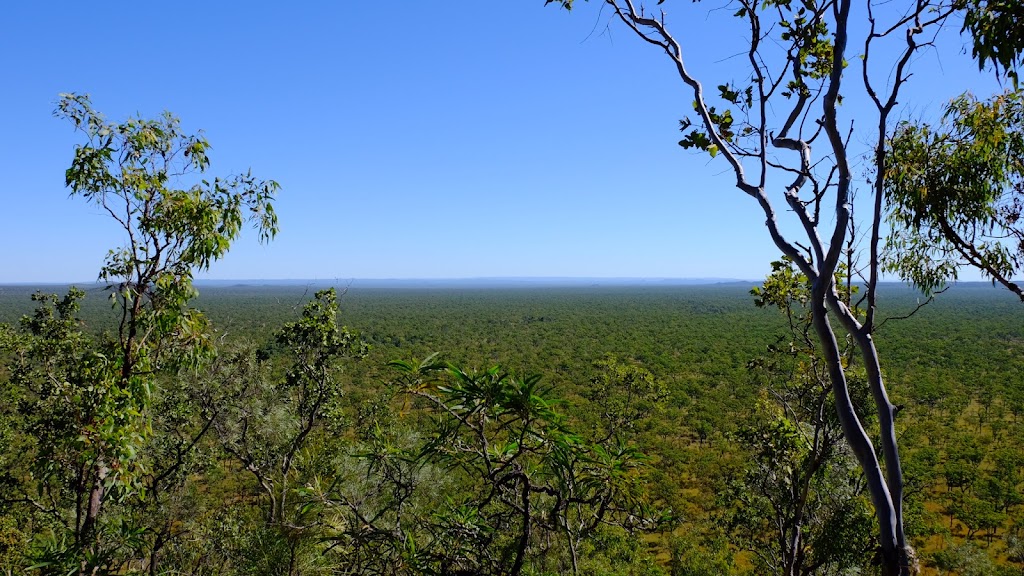 Undara Experience | tourist attraction | Undara Experience, Undara Rd, Mount Surprise QLD 4871, Australia | 0740971900 OR +61 7 4097 1900