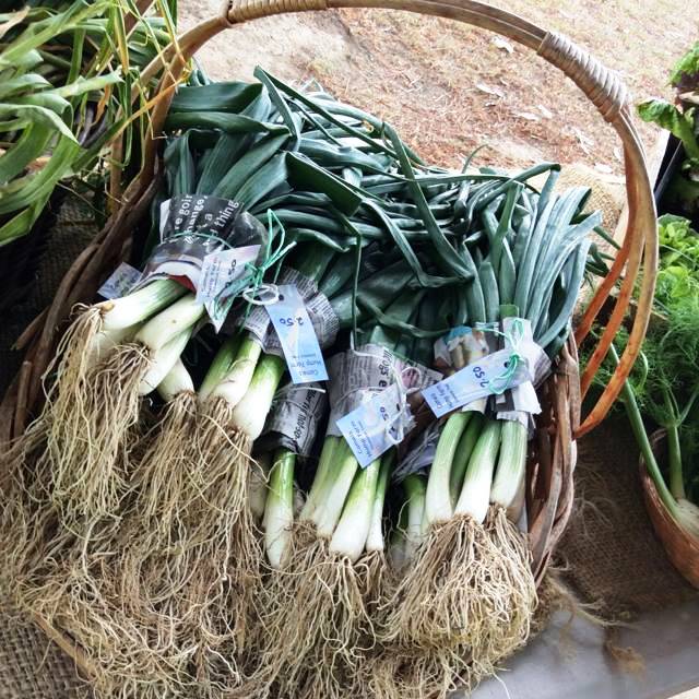 Gloucester Farmers Market - 2nd Saturday Monthly | Denison St &, Billabong Ln, Gloucester NSW 2422, Australia | Phone: 0400 433 553