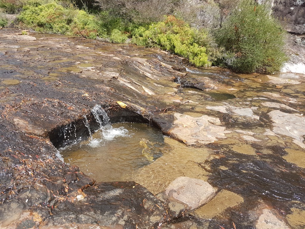 Meryla State Forest | Fitzroy Falls NSW 2577, Australia | Phone: 1300 655 687