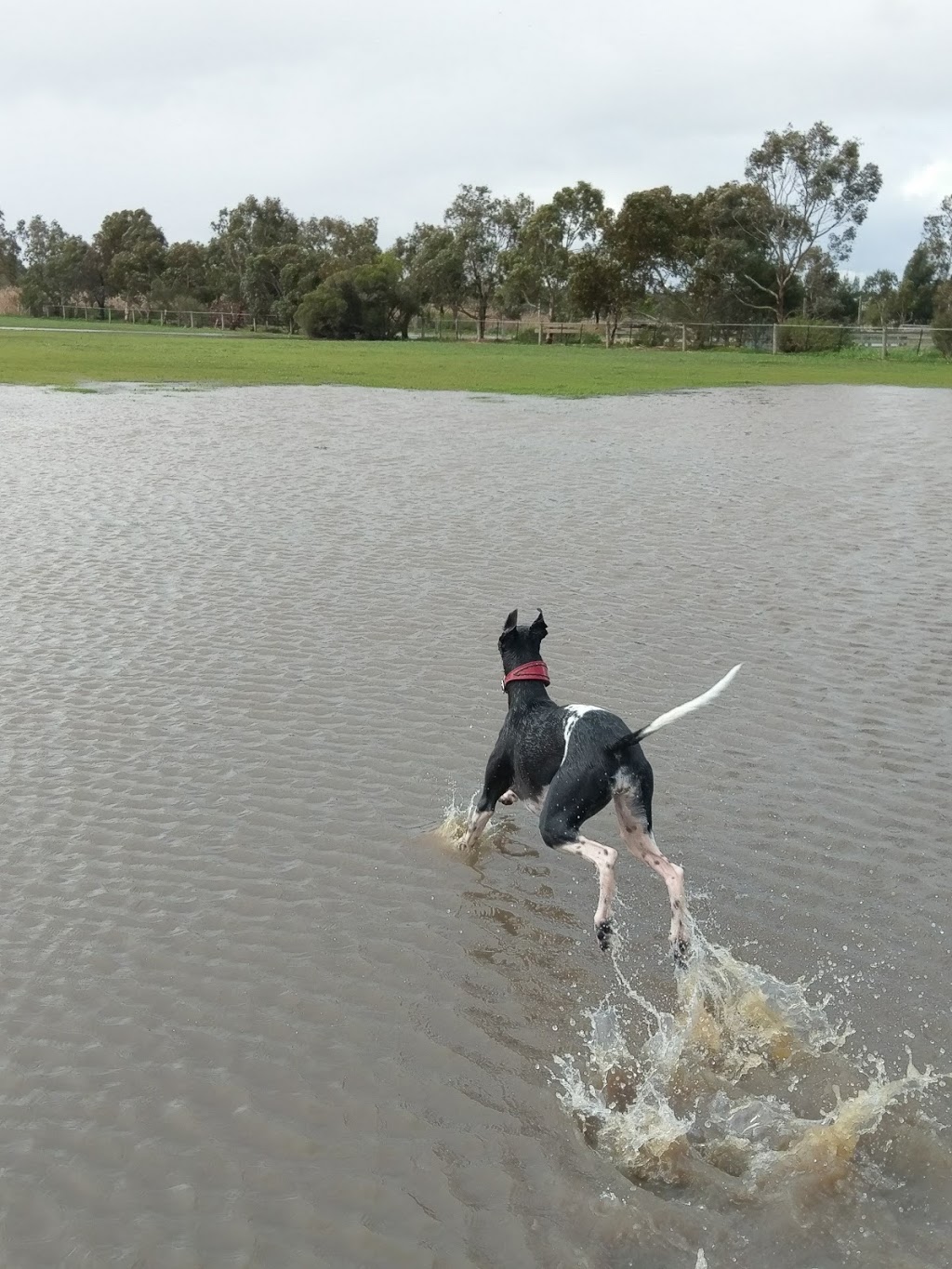 South Barwon Cricket Club | South Barwon Reserve, Barwon Heads Rd, Belmont VIC 3216, Australia | Phone: (03) 5244 1753