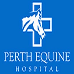 Perth Equine Hospital | veterinary care | 47 Epsom Ave, Ascot WA 6104, Australia | 0894791800 OR +61 8 9479 1800