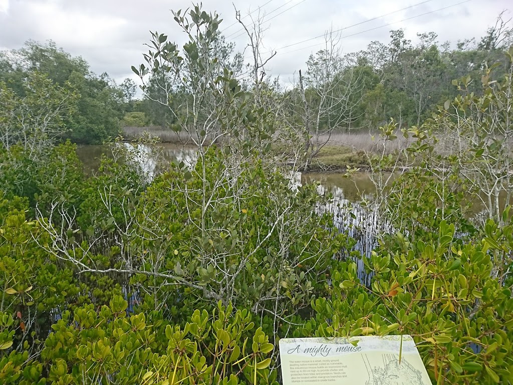 Weyba Mangrove Boardwalk | 163 Weyba Rd, Noosaville QLD 4566, Australia