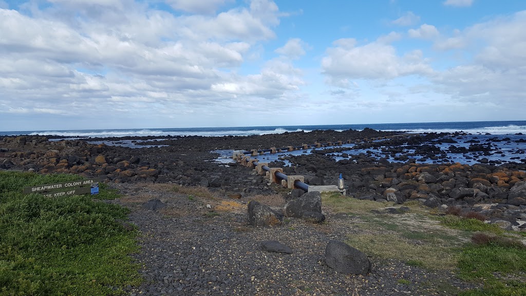 Griffiths Island Reserve | park | Griffiths Island, Port Fairy VIC 3284, Australia | 1300656564 OR +61 1300 656 564