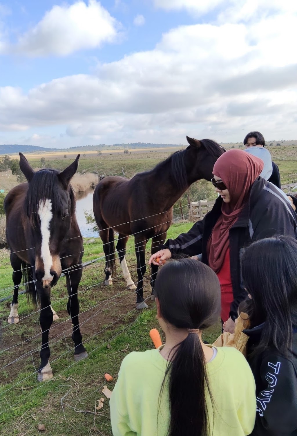 Blue Valley Farms Pty Ltd | 100 Martin Rd, Little River VIC 3211, Australia | Phone: 0425 819 417