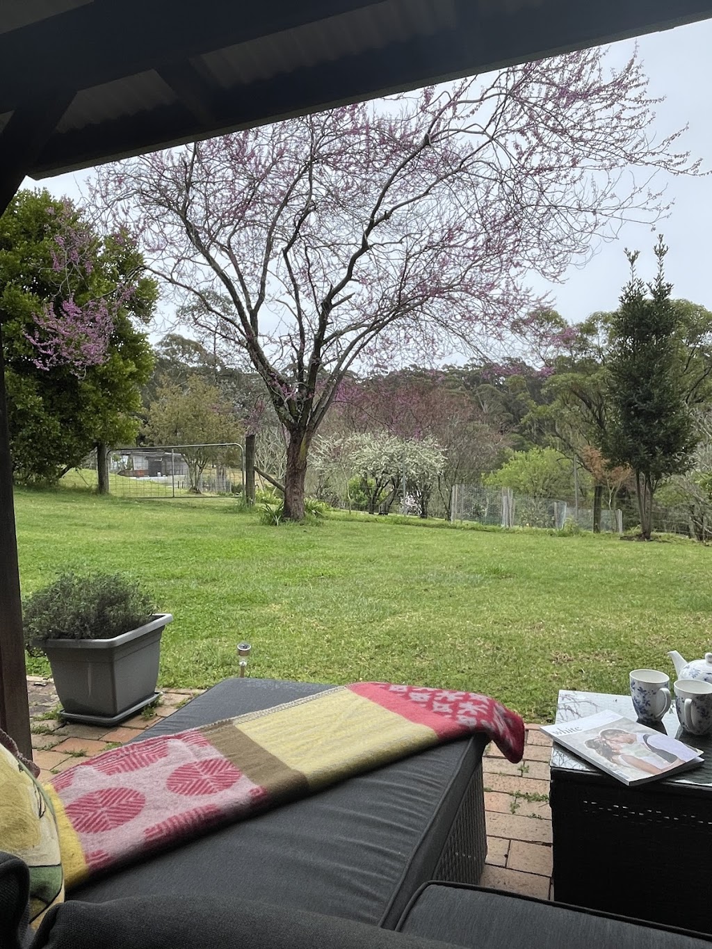 Browns Cottage | 21 Powells Rd, Bilpin NSW 2758, Australia | Phone: (02) 4567 7254