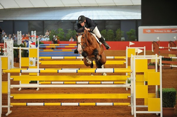 Kentaur Australia Equestrian Shop Online & Performance Horses | 109 Coventry Crossing, Bullsbrook WA 6084, Australia | Phone: 0405 525 714