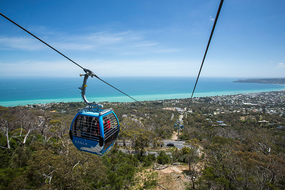 Arthurs Seat Eagle - Summit Station | 795 Arthurs Seat Rd, Arthurs Seat VIC 3936, Australia | Phone: (03) 5987 0600