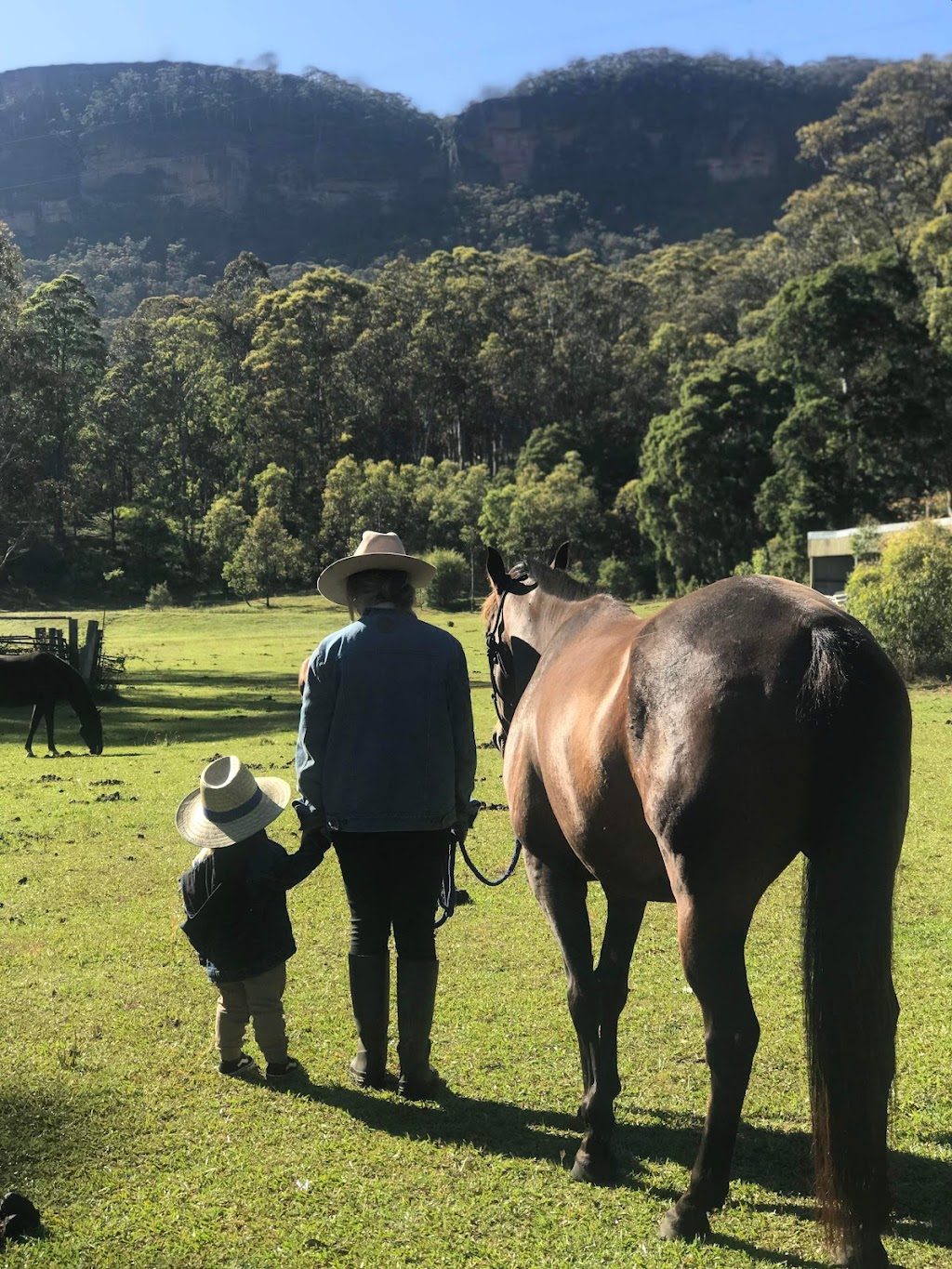 Wild Hooves Equine Assisted Psychotherapy | 448 Kanimbla Dr, Kanimbla NSW 2790, Australia | Phone: 0493 874 360