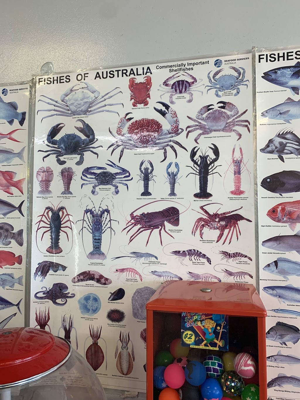 Michaels Fish Shop | 2 Old Geelong Rd, Hoppers Crossing VIC 3029, Australia | Phone: (03) 9749 5248