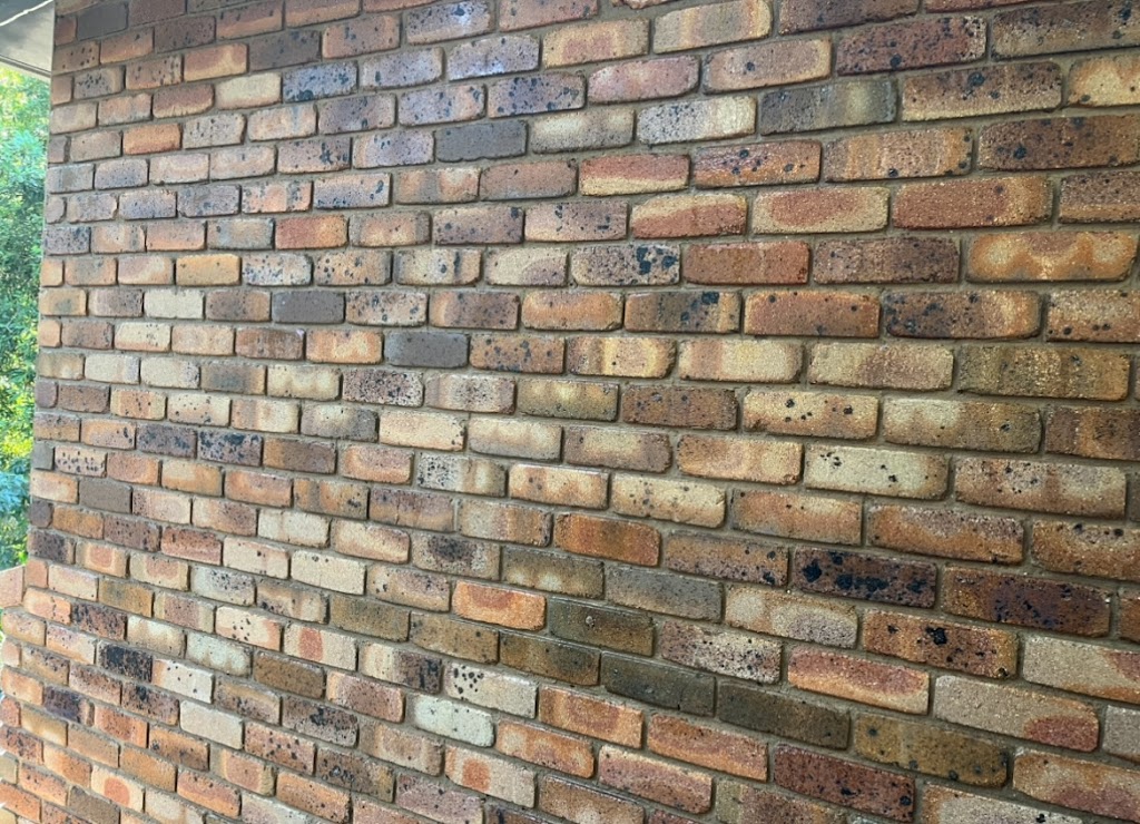 The Water Wizz | 11 Haigh Cl, Berkeley Vale NSW 2261, Australia | Phone: 0414 443 591