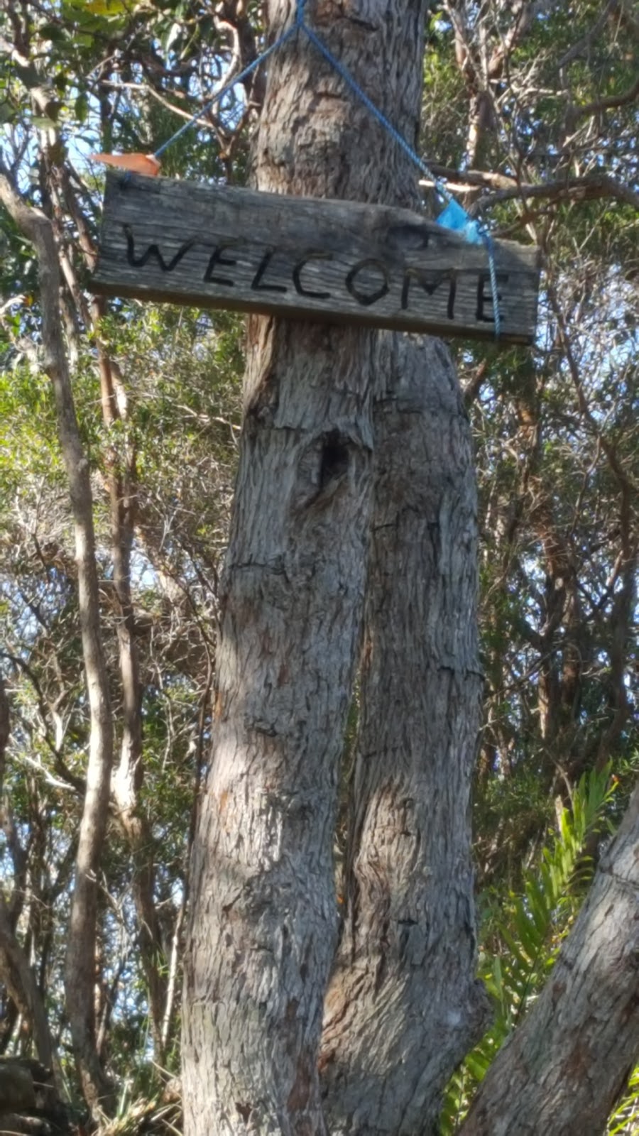 Mount Eerwah Conservation Park | park | 119 Mount Eerwah Rd, Eerwah Vale QLD 4562, Australia