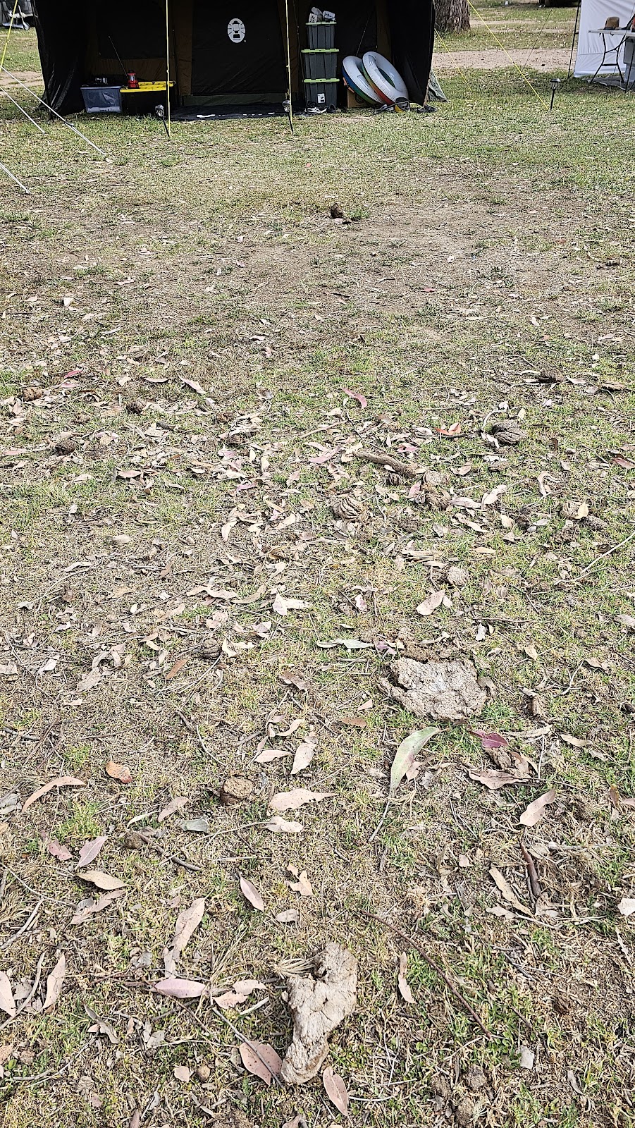 Jila Campground | 152 Mountain Ave, Yarramundi NSW 2753, Australia | Phone: 0418 738 784