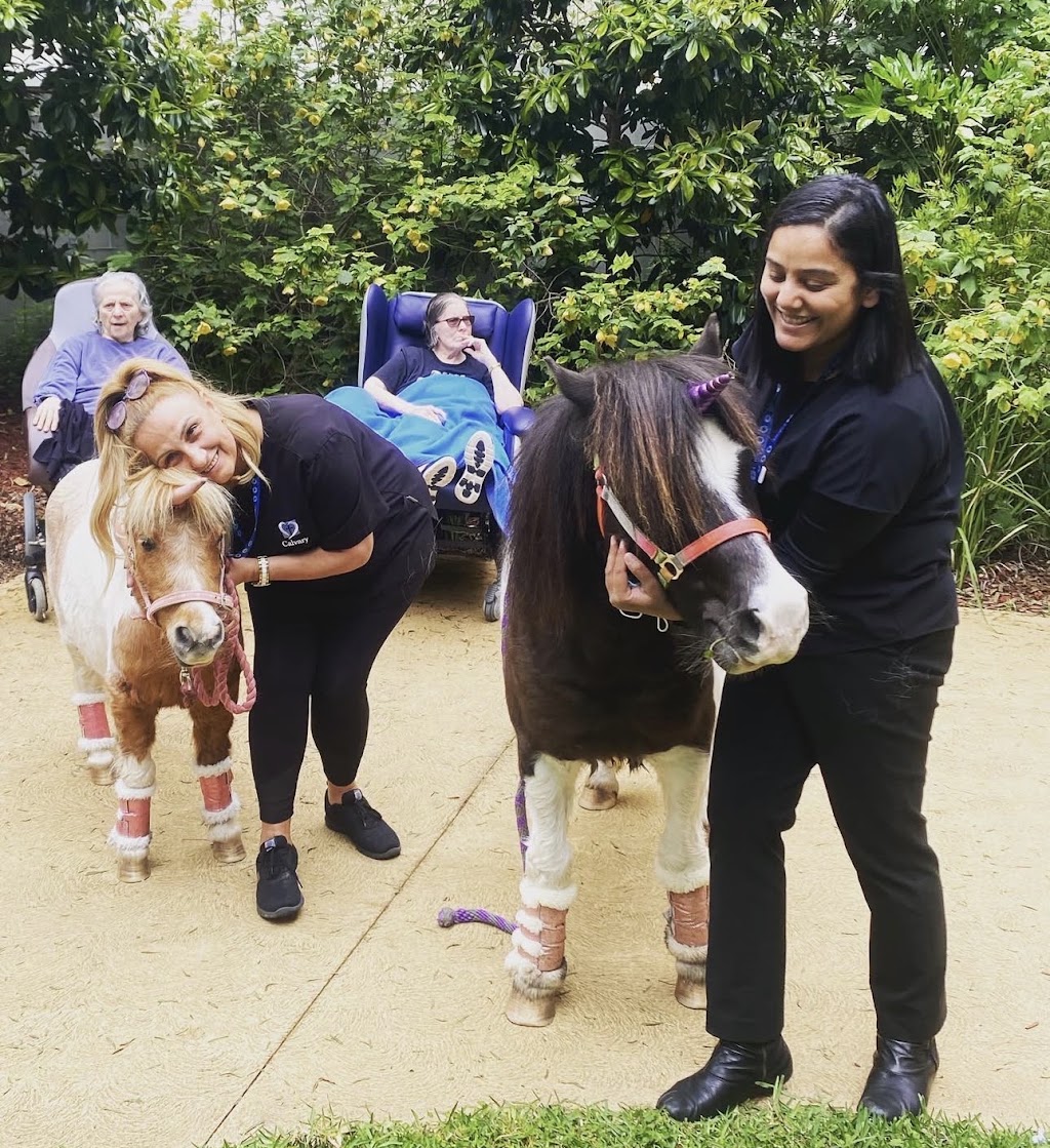 Blu Sky Pony Rides | 125 Beveridge Rd, Beveridge VIC 3753, Australia | Phone: 0413 079 219