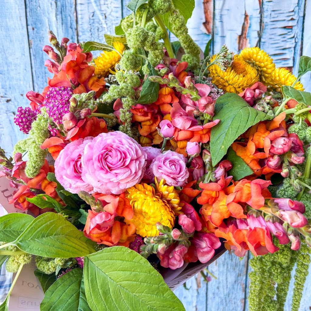 Little Miss Bloom Farm | 40 Piggotts Rd, Guanaba QLD 4210, Australia | Phone: 0402 412 240