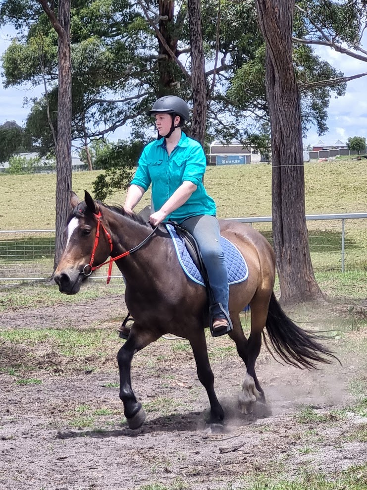 Hands On Horses Australia | 82 Border Gate Rd, Cottonvale QLD 4375, Australia | Phone: 0417 579 264