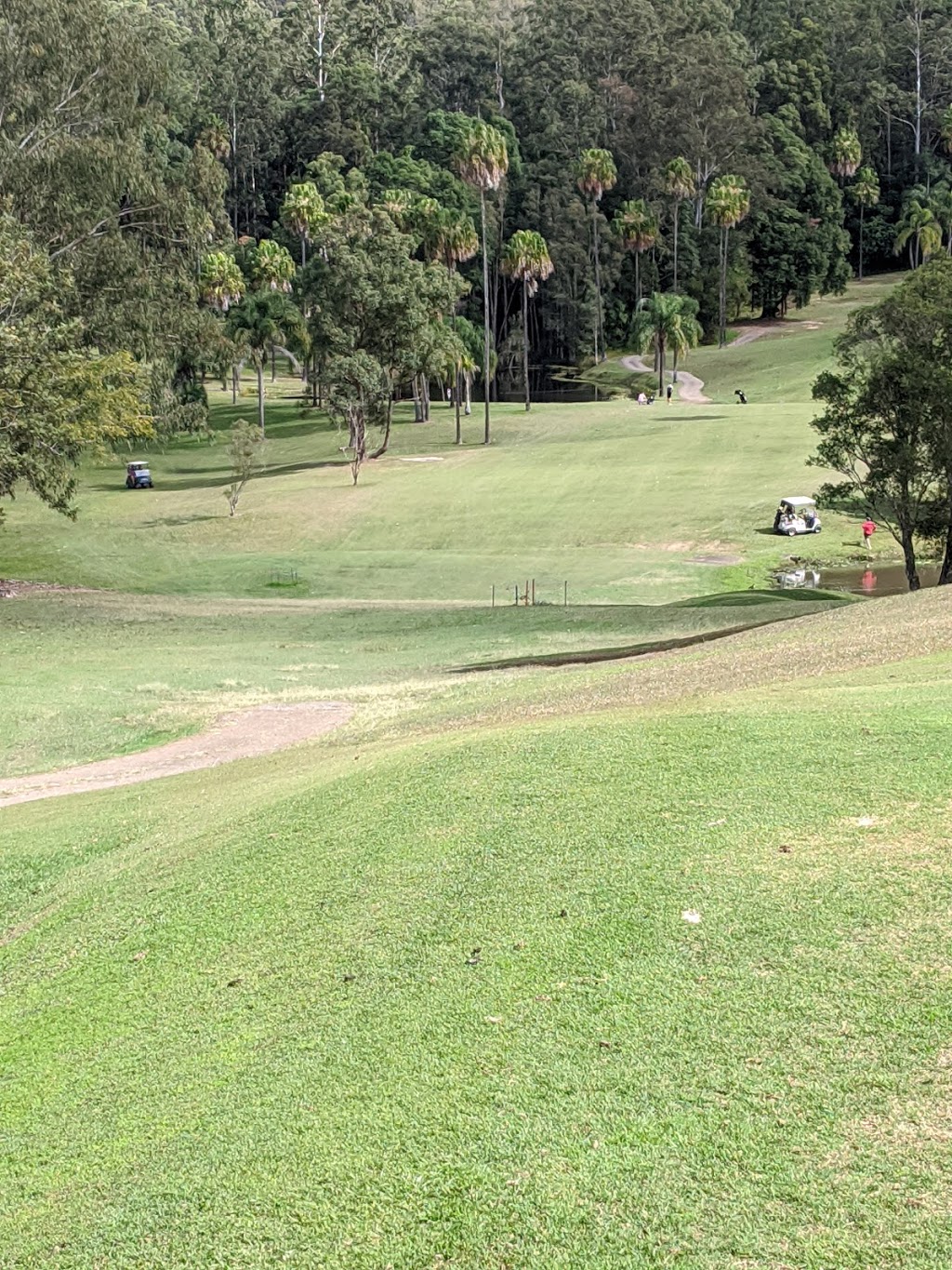 Nambour Golf Club |  | 1051 Nambour Connection Rd, Nambour QLD 4560, Australia | 0754412049 OR +61 7 5441 2049