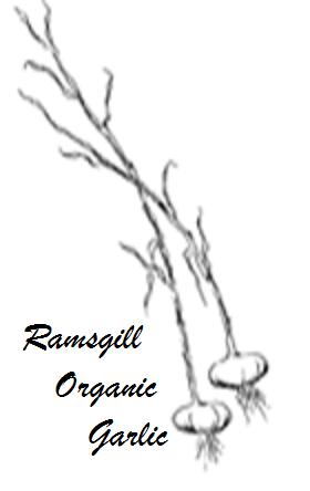 Ramsgill Organic | grocery or supermarket | Reedy Creek Road, Narooma NSW 2545, Australia | 0244735530 OR +61 2 4473 5530
