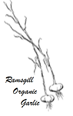 Ramsgill Organic | Reedy Creek Road, Narooma NSW 2545, Australia | Phone: (02) 4473 5530