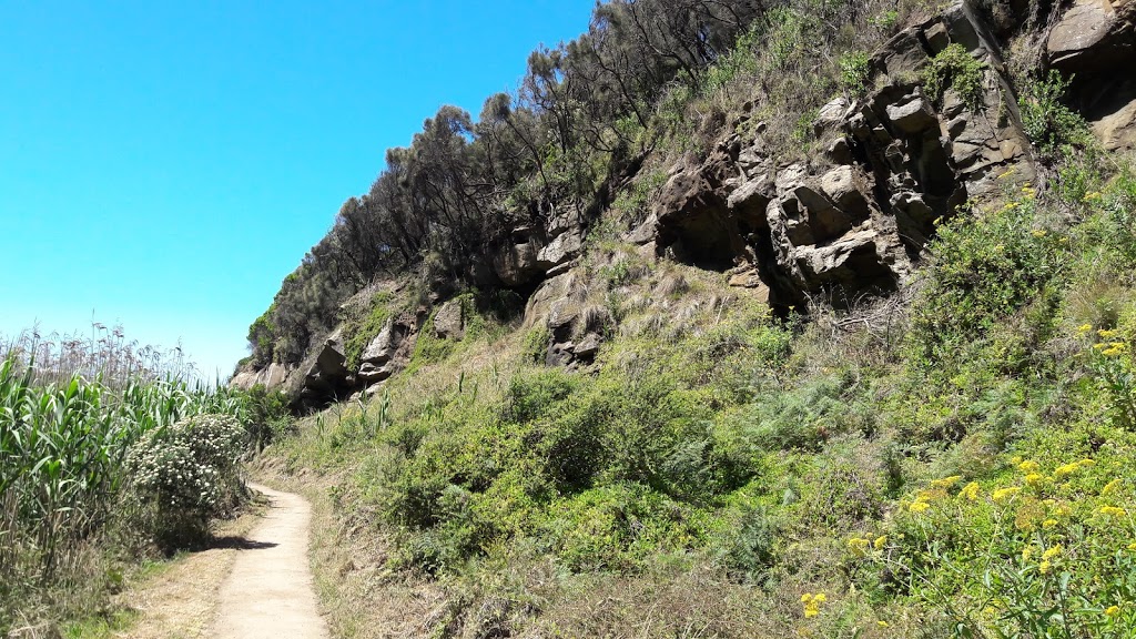 Sheoak Falls Car Park | 2530 Great Ocean Rd, Lorne VIC 3232, Australia