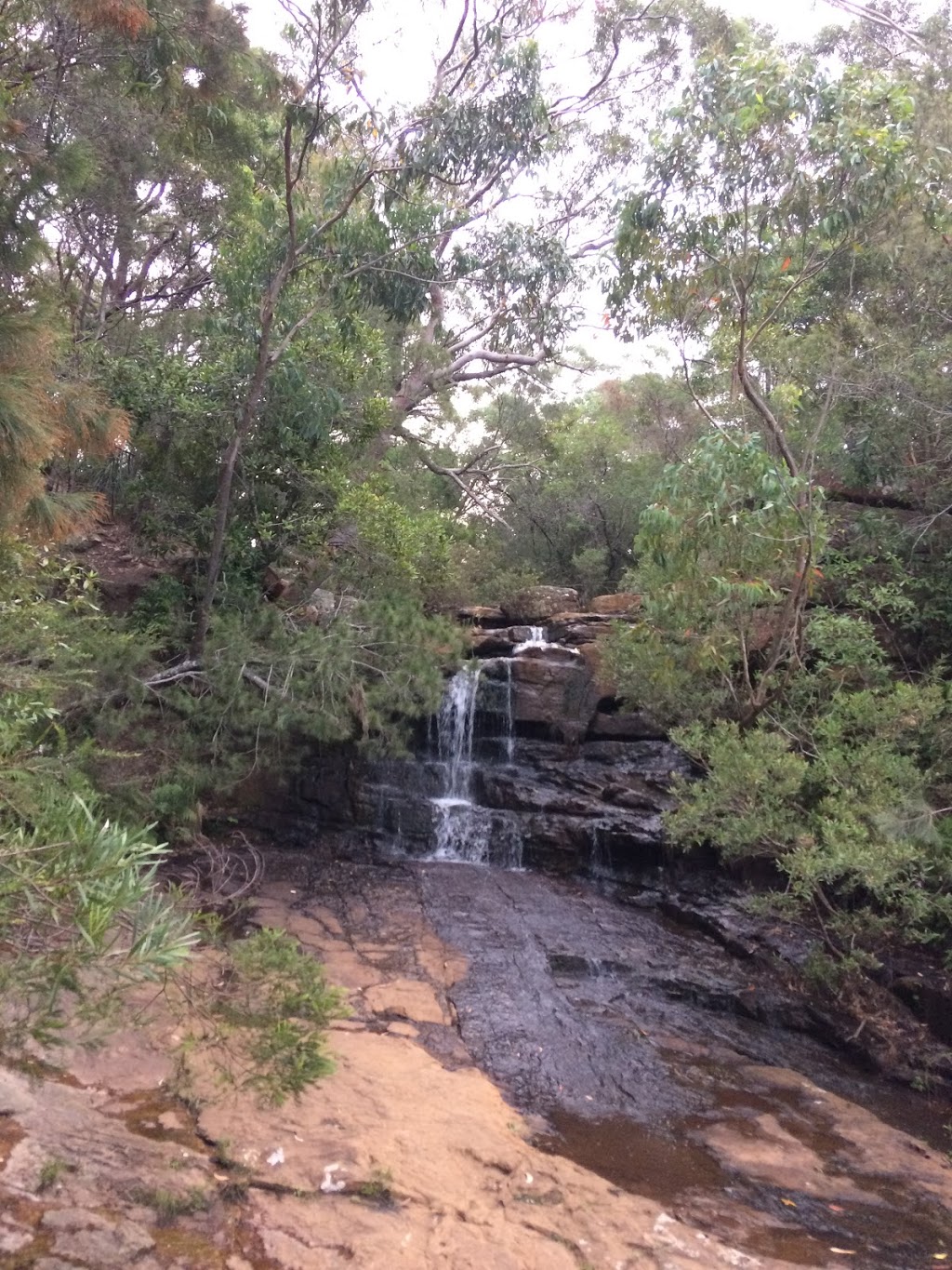 Garawarra State Conservation Area | park | Helensburgh NSW 2508, Australia | 1300072757 OR +61 1300 072 757