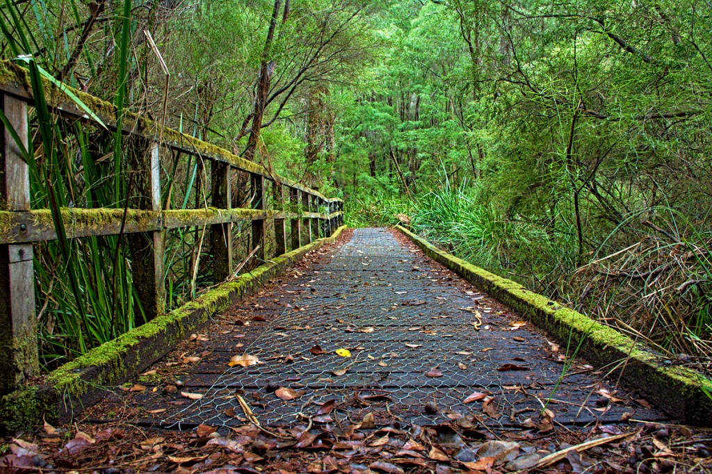 Shannon National Park | park | Lower Shannon Rd, Shannon WA 6262, Australia | 0897761207 OR +61 8 9776 1207