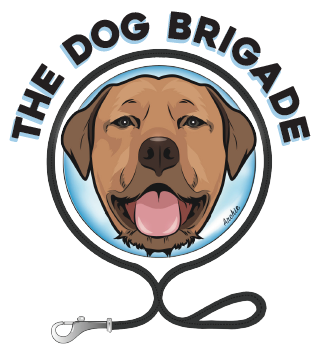 The Dog Brigade |  | 6/19 Blair Street North Bondi, Sydney NSW 2026, Australia | 0405534034 OR +61 405 534 034