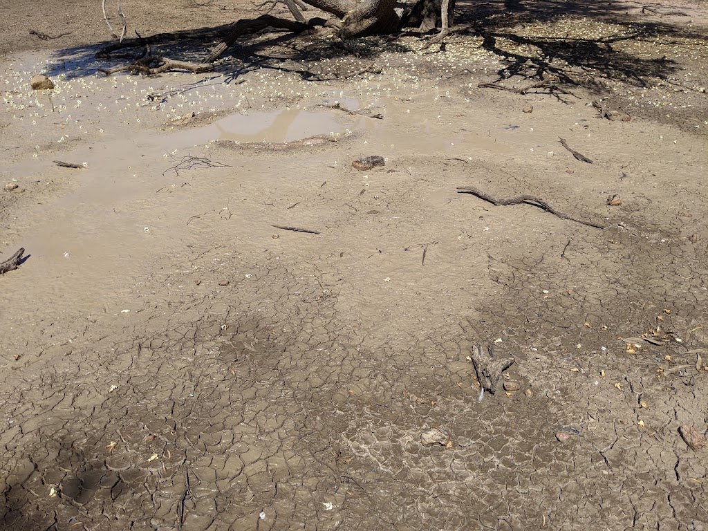 Artesian Mud Springs | Adventure Way, Eulo QLD 4491, Australia | Phone: 0415 316 396
