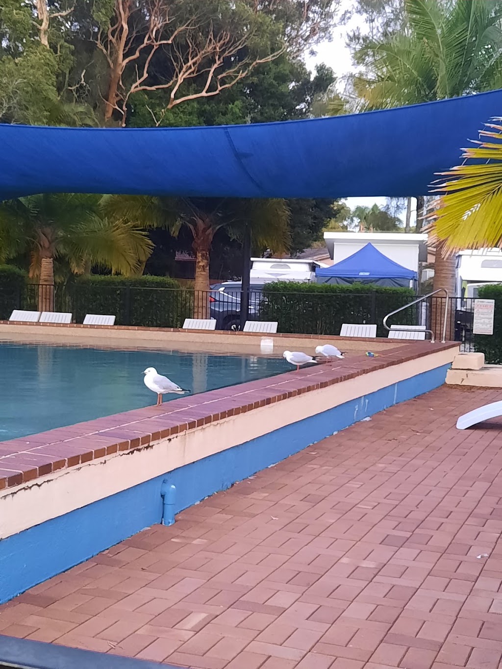 Monterey Tourist Park | 28 Monterey Ave, Mannering Park NSW 2259, Australia | Phone: (02) 4359 1033