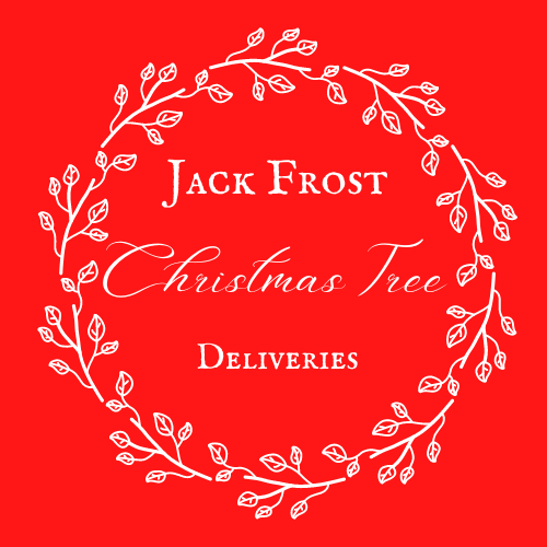 Jack Frost Christmas Tree Deliveries | 8 Berry St, Cronulla NSW 2230, Australia | Phone: 0480 221 440