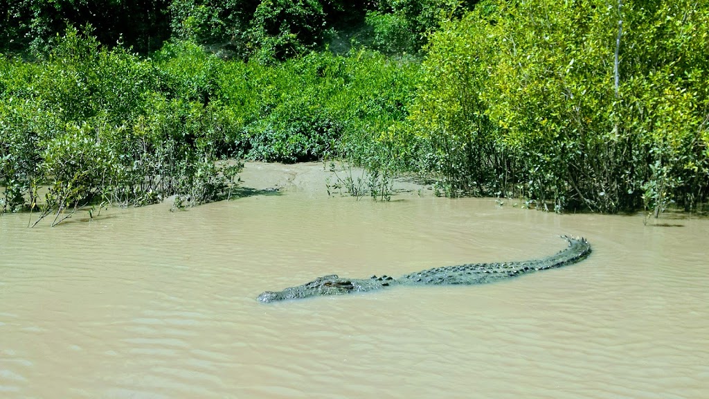 Harrison Dam Conservation Area | Middle Point NT 0822, Australia