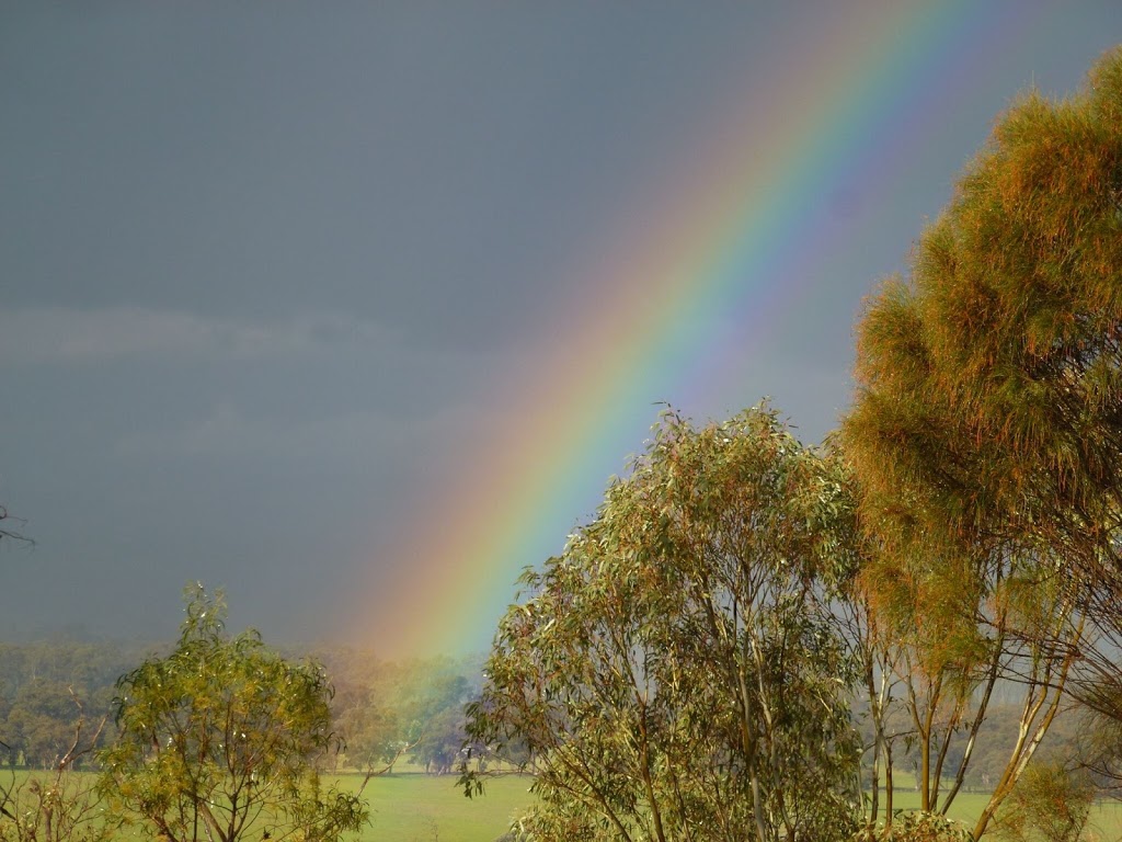 Australian Gurus | health | 49 Phillipson St, Wangaratta VIC 3677, Australia | 0429621612 OR +61 429 621 612